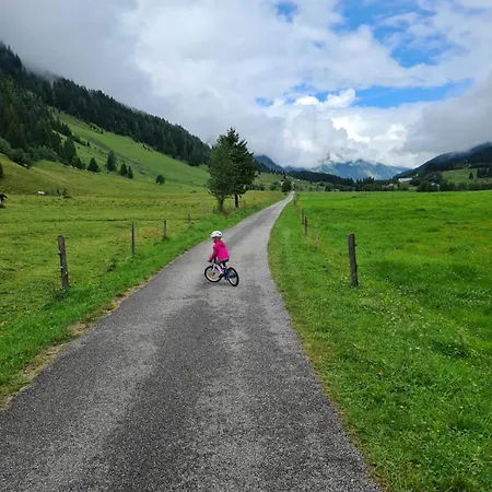 Apartment Manuela 13 Rauris