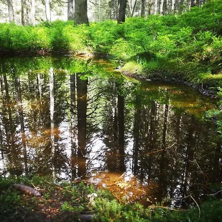 Apartmán Manuela 13 *