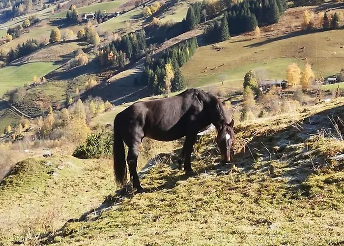 Manuela 13 Appartement *