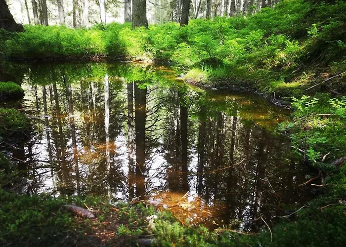 Appartement Manuela 13 *